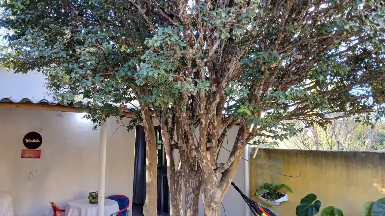 Photo of Outdoor in Miguel Pereira