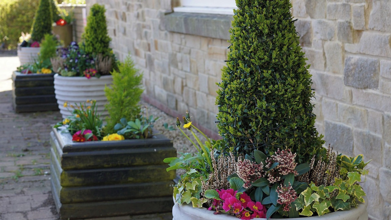 Photo of Outdoor in Consett