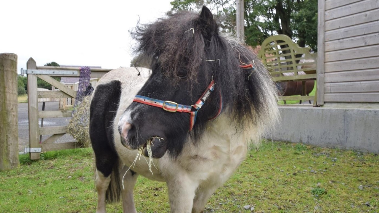 Photo of Others in West Linton