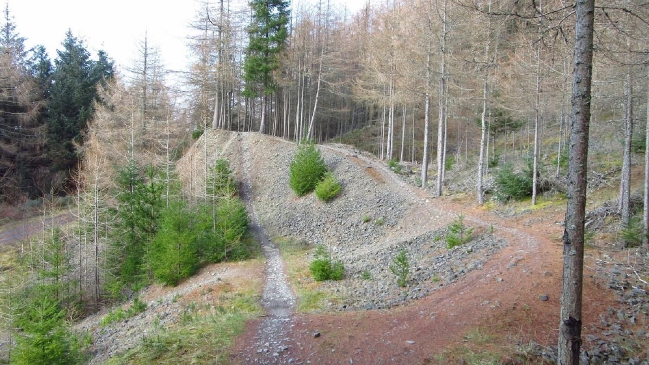 Photo of Others in West Linton
