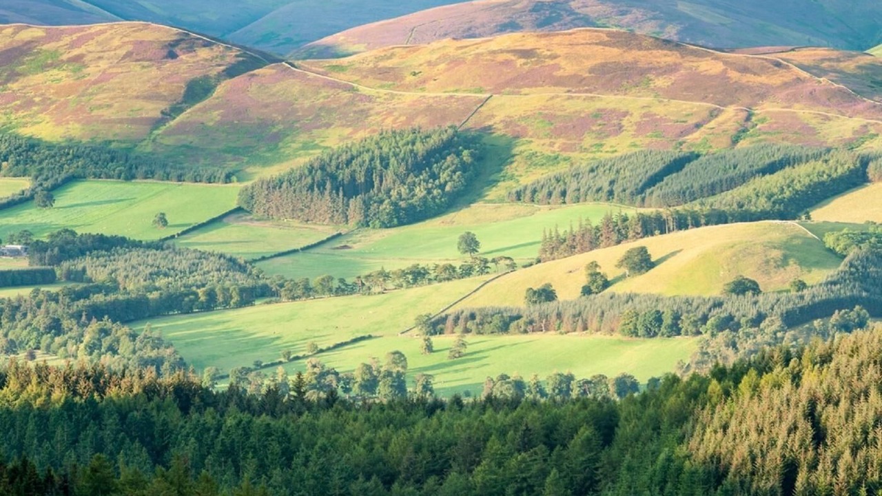 Photo of Others in West Linton