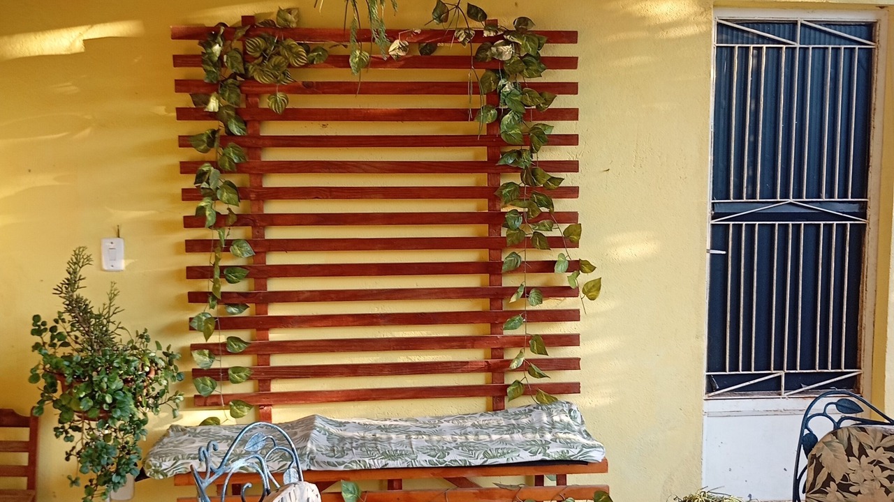 Photo of Outdoor in Miguel Pereira