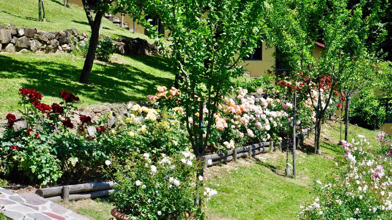 Photo of Outdoor in Gattaia