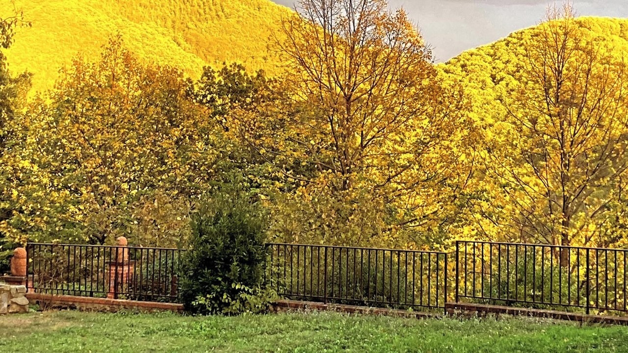 Photo of Outdoor in Gattaia