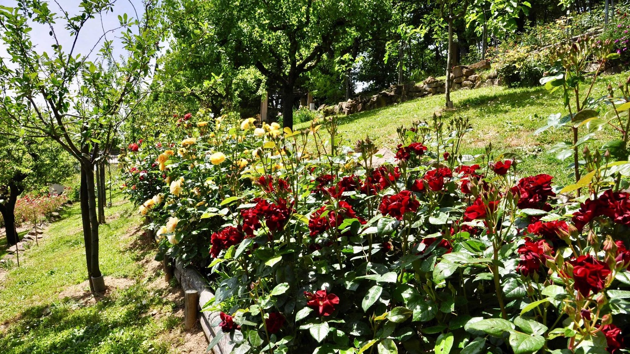 Photo of Outdoor in Gattaia