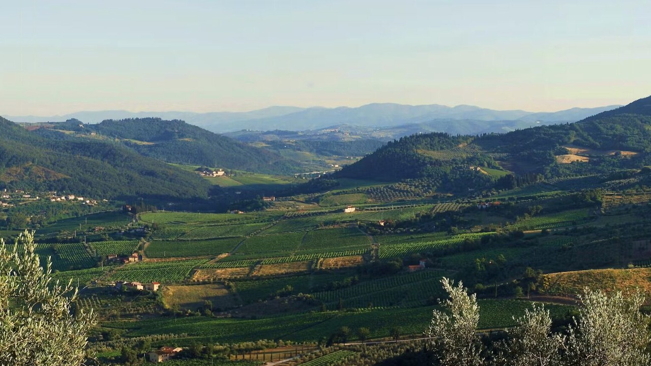 Photo of Others in Montebonello