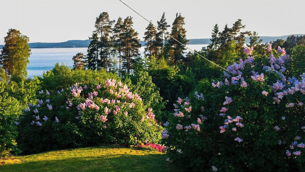 Photo of Others in Hurum