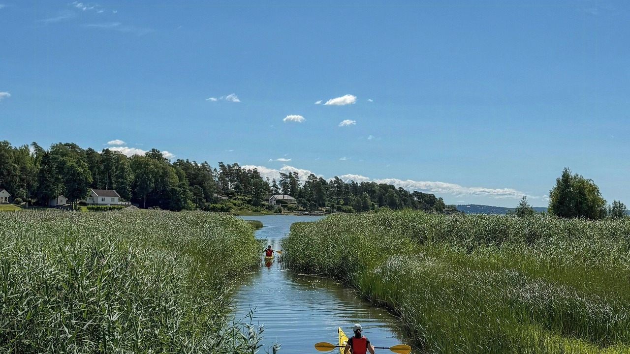 Photo of Others in Sarpsborg