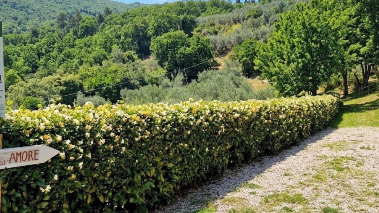 Photo of Outdoor in Montebonello