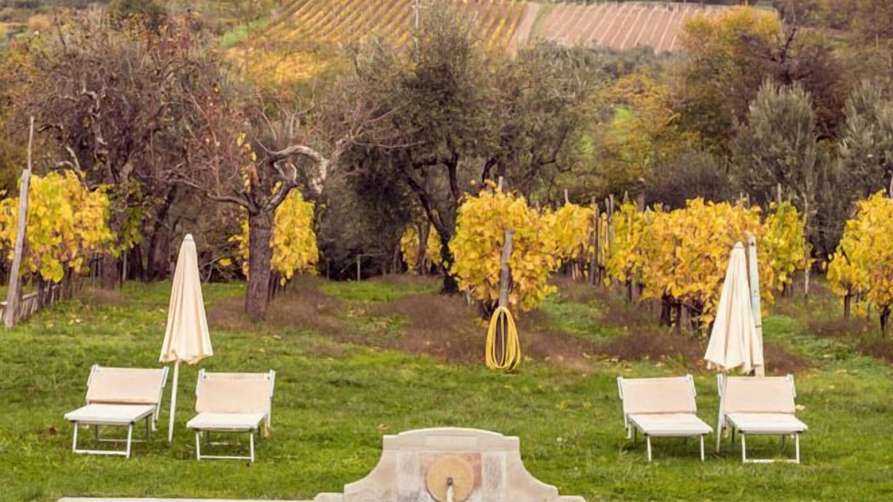 Photo of Outdoor in Montebonello