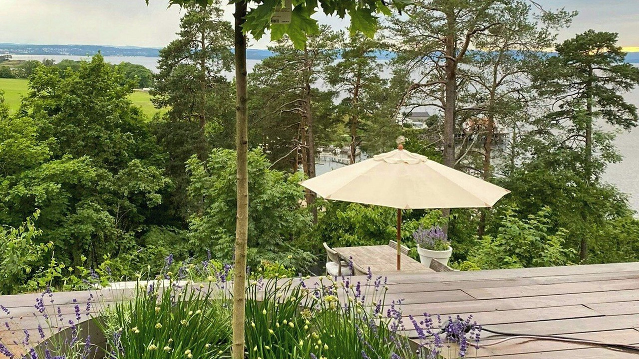 Photo of Outdoor in Moss