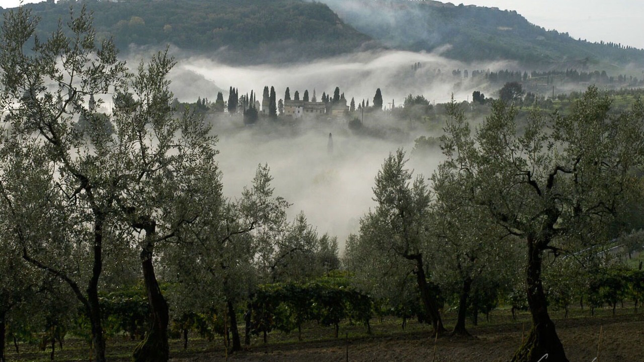 Photo of Others in Saline di Volterra