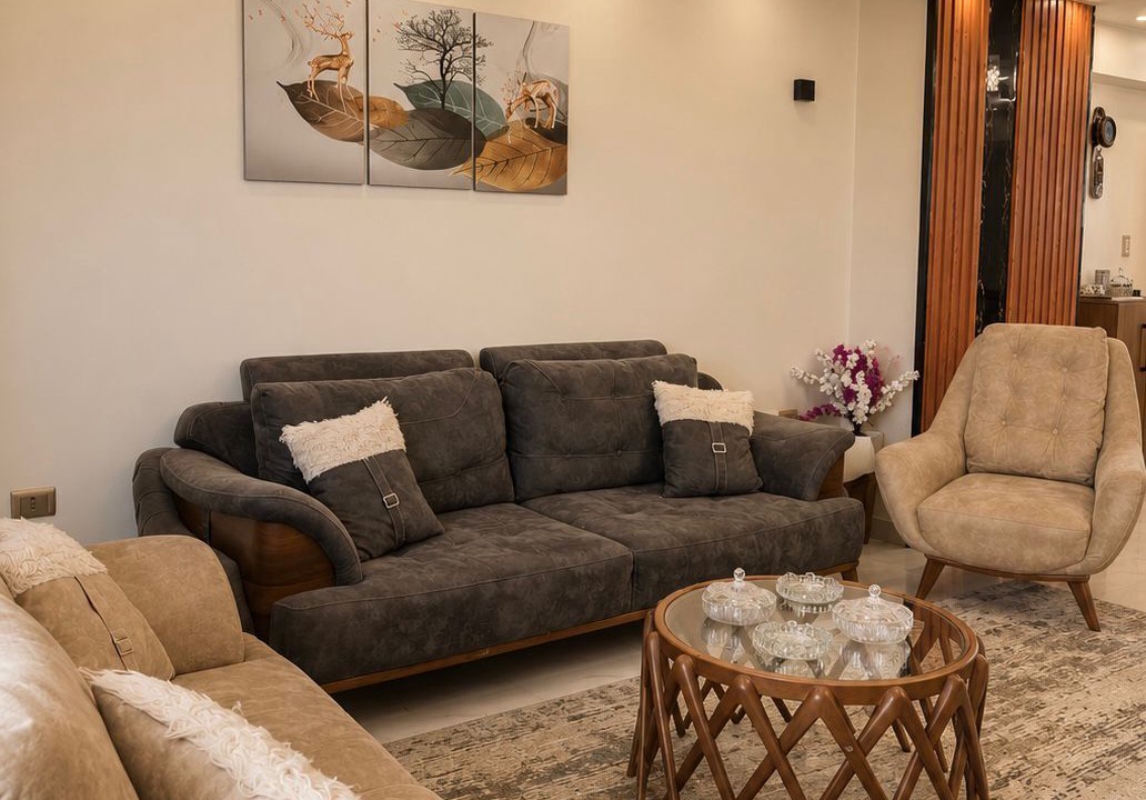 Photo of Livingroom in Agouza