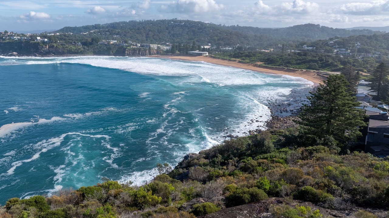 Photo of Others in Avalon Beach