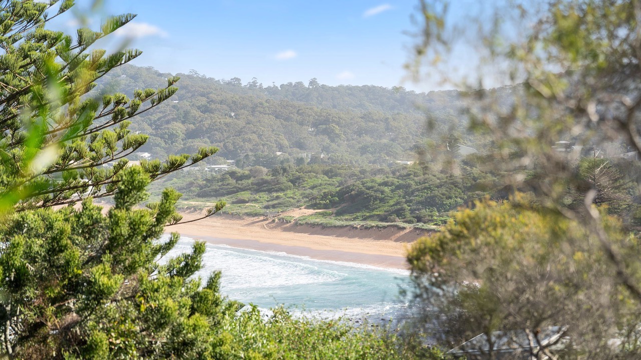 Photo of Others in Avalon Beach