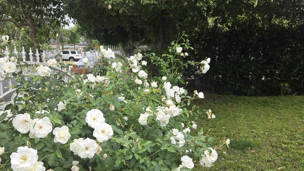 Photo of Outdoor in Canoga Park