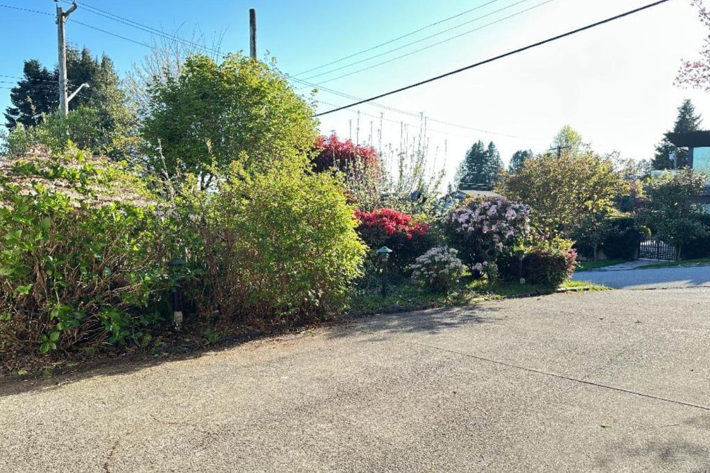 Photo of Outdoor in Dundarave