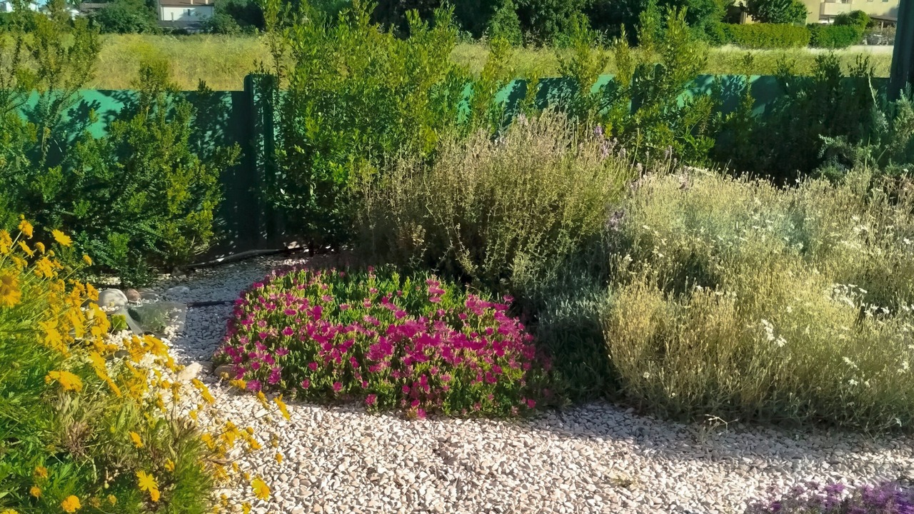 Photo of Outdoor in Savio