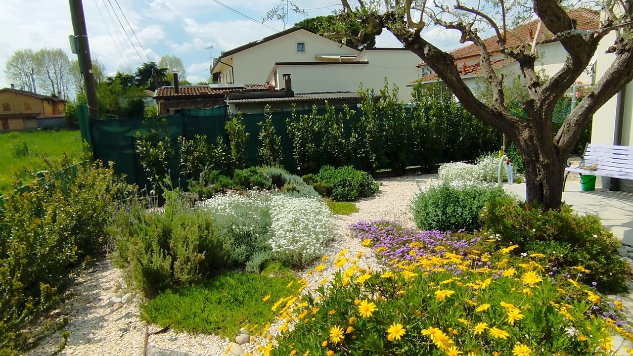 Photo of Outdoor in Savio