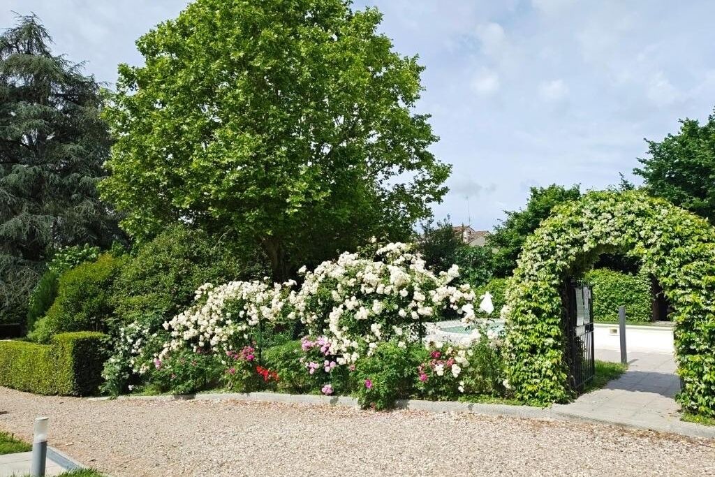 Photo of Outdoor in Scarperia e San Piero