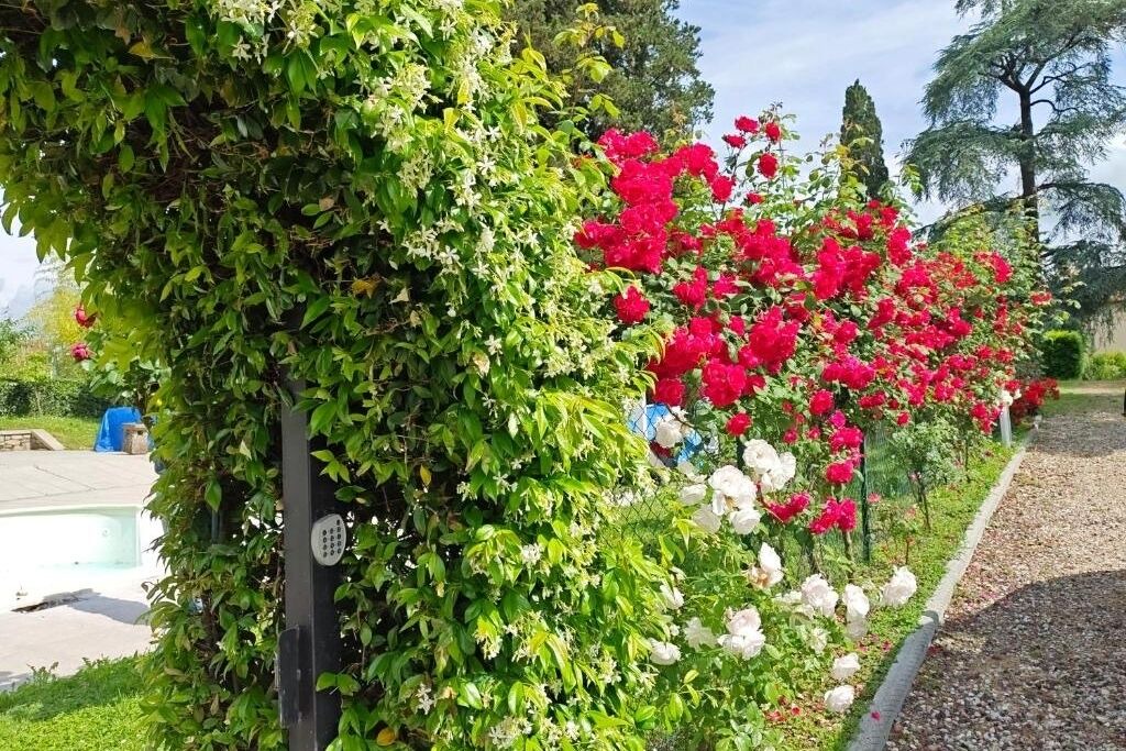 Photo of Outdoor in Scarperia e San Piero