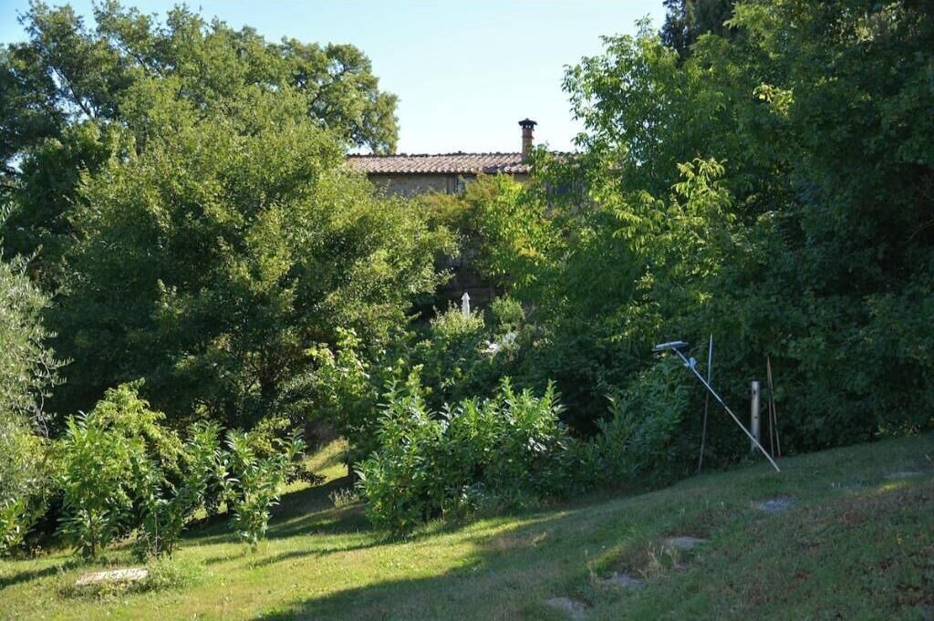 Photo of Outdoor in Radicondoli