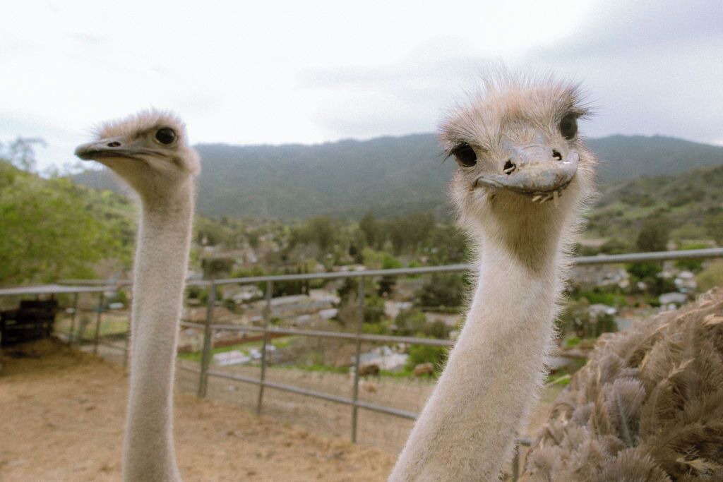 Photo of Others in Ventura County