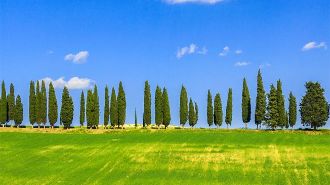 Photo of Others in Borgo San Lorenzo