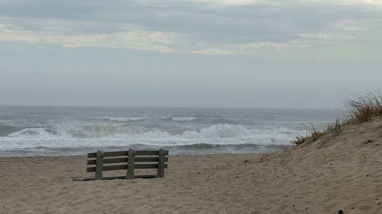 Photo of Others in Bridgehampton