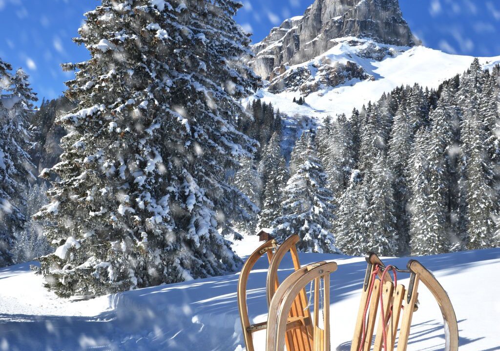 Photo of Others in Davos-Platz