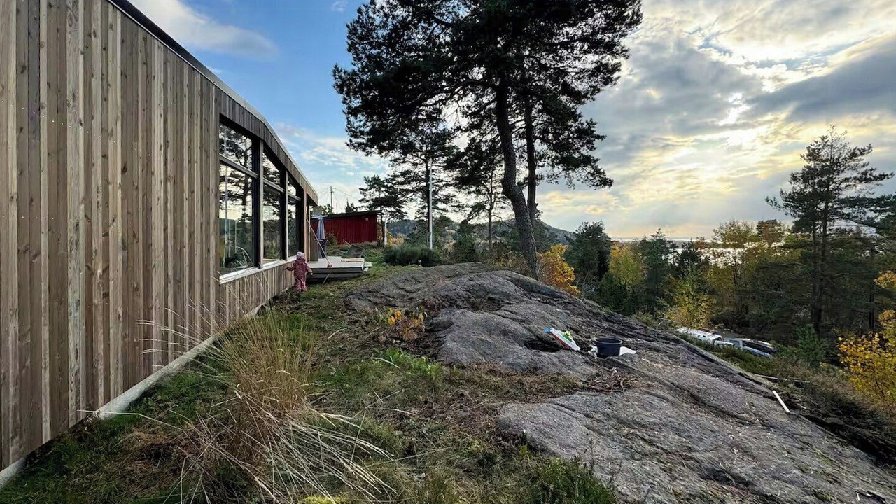 Photo of Outdoor in Moss