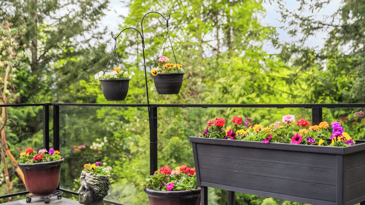 Photo of Outdoor in West Vancouver