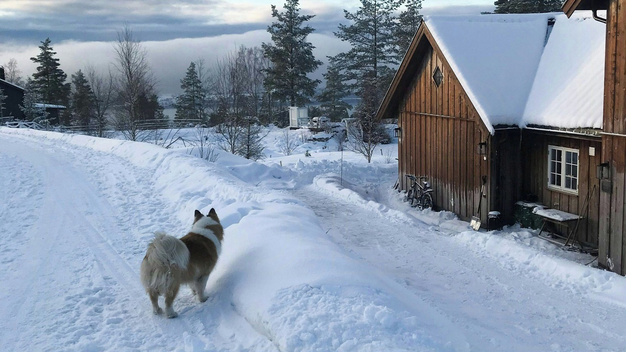 Photo of Outdoor in Hurdal Municipality
