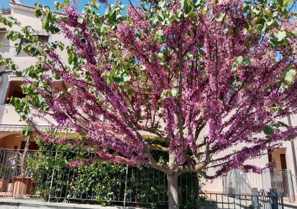 Photo of Outdoor in Vicchio