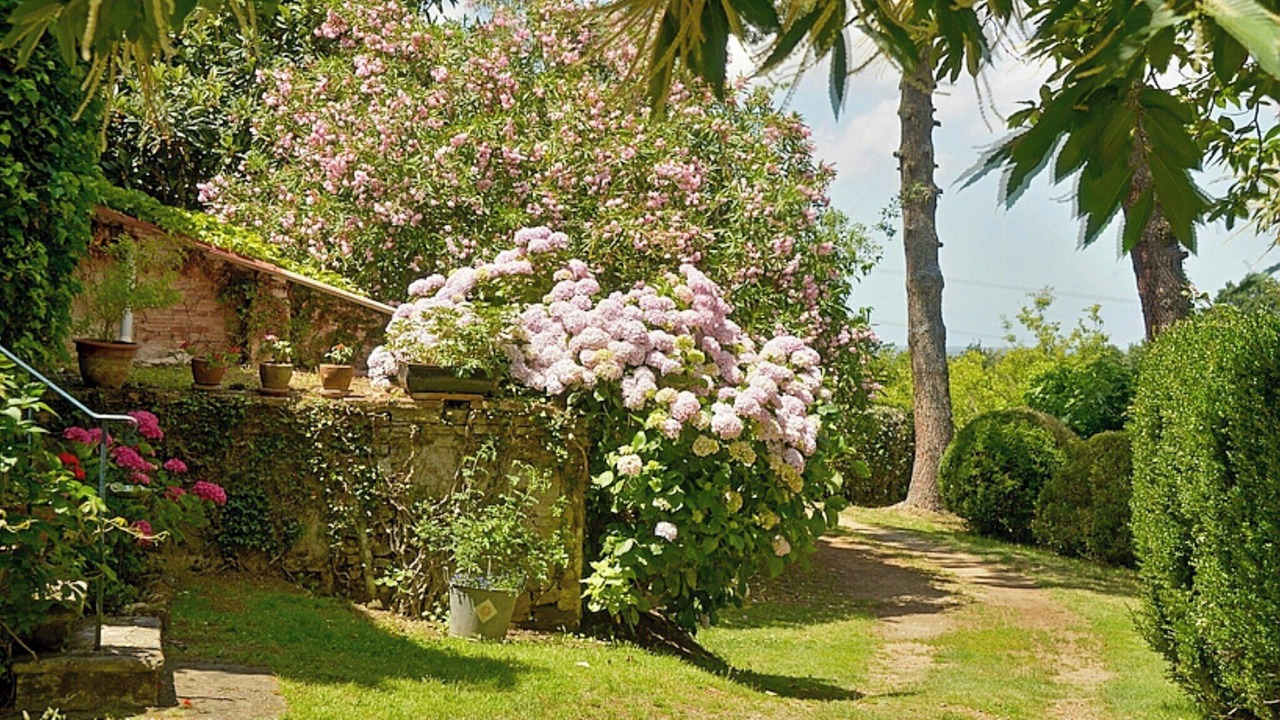 Photo of Outdoor in Fauglia
