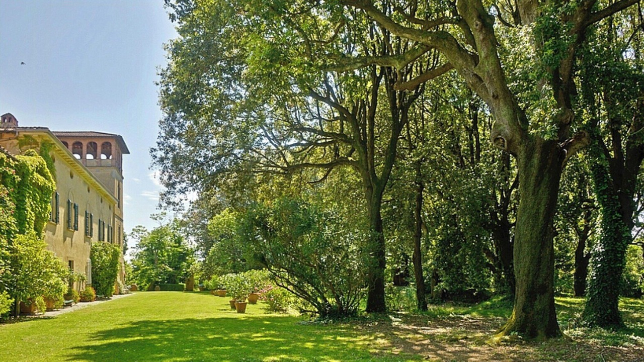 Photo of Outdoor in Fauglia