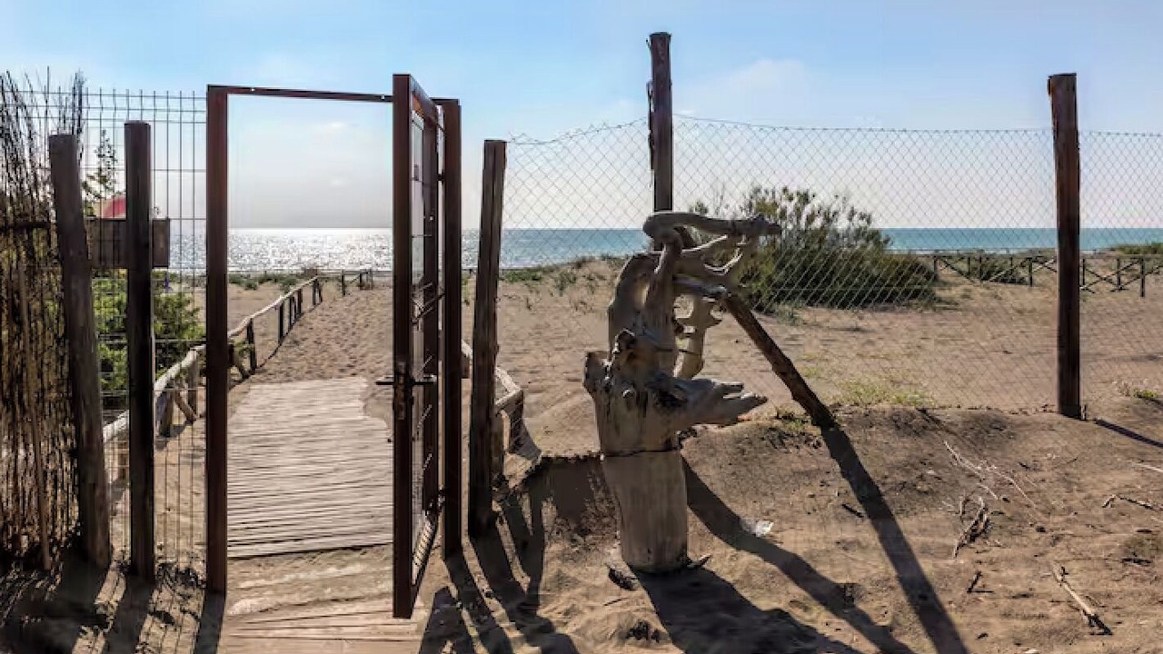 Photo of Others in Marina di Bibbona
