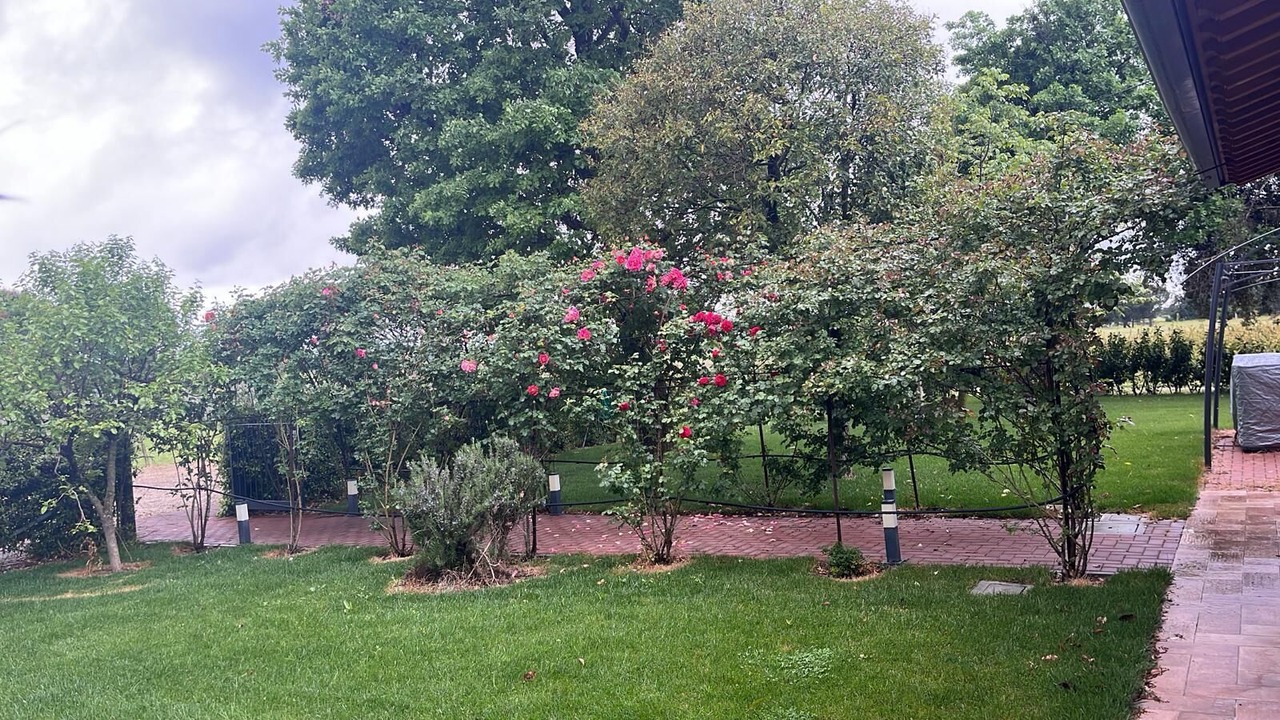 Photo of Outdoor in Oriolo dei Fichi
