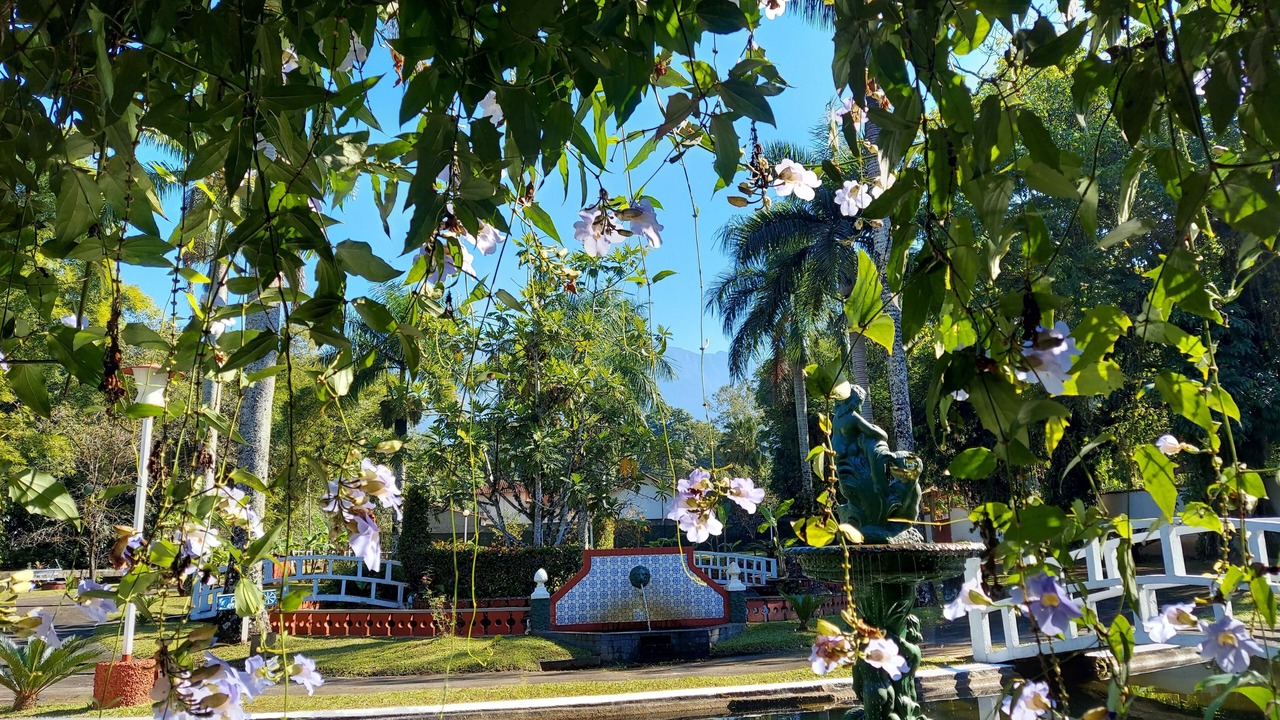 Photo of Others in Parque Santo Antonio