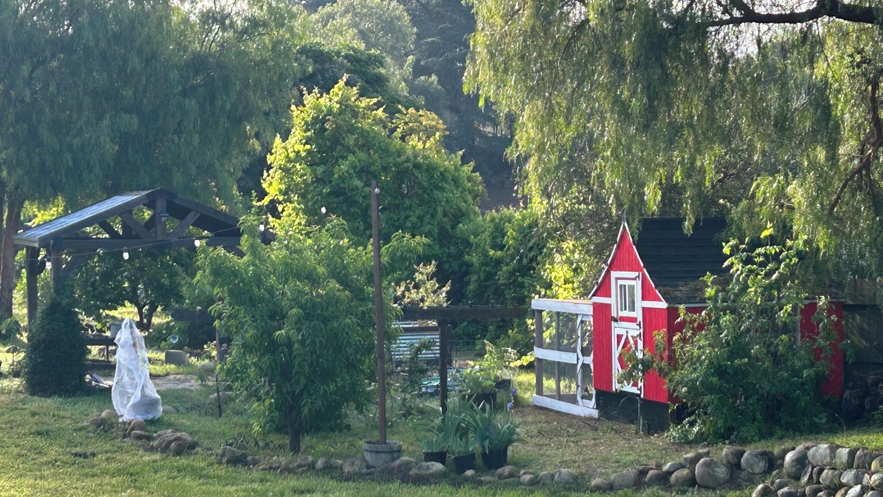 Photo of Outdoor in Mira Monte