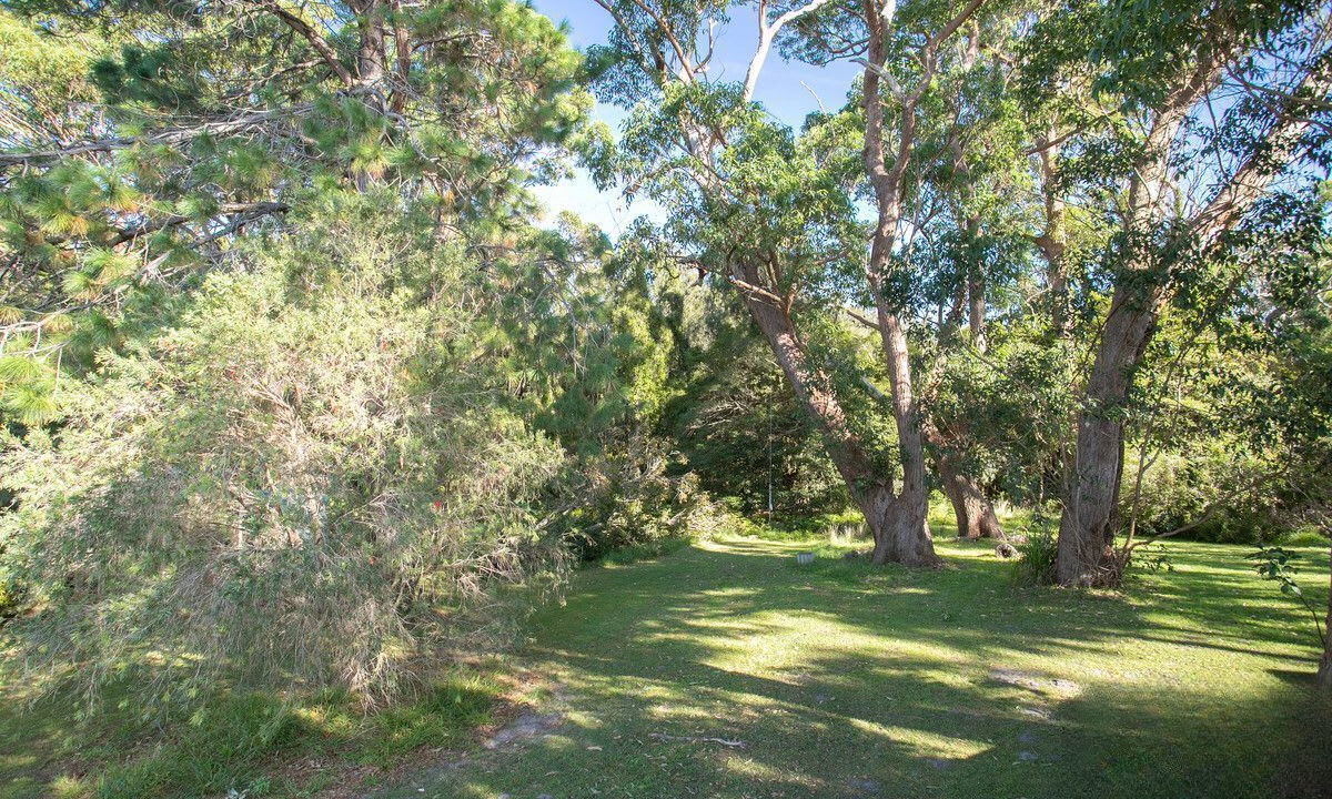 Photo of Others in Bawley Point