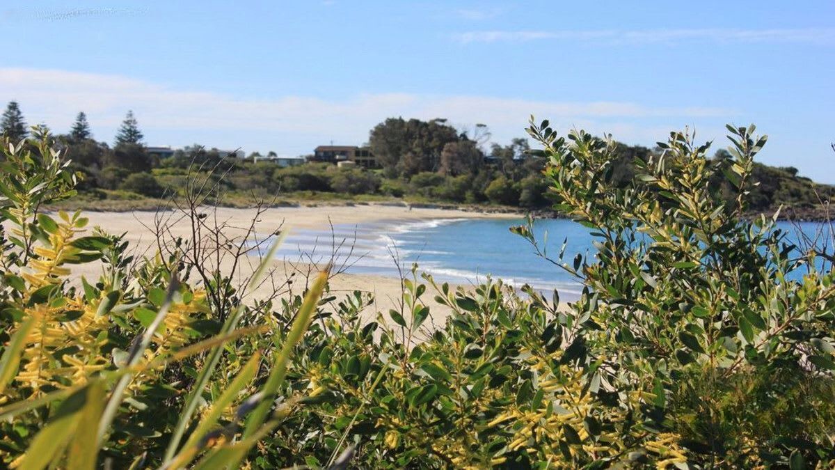 Photo of Others in Bawley Point