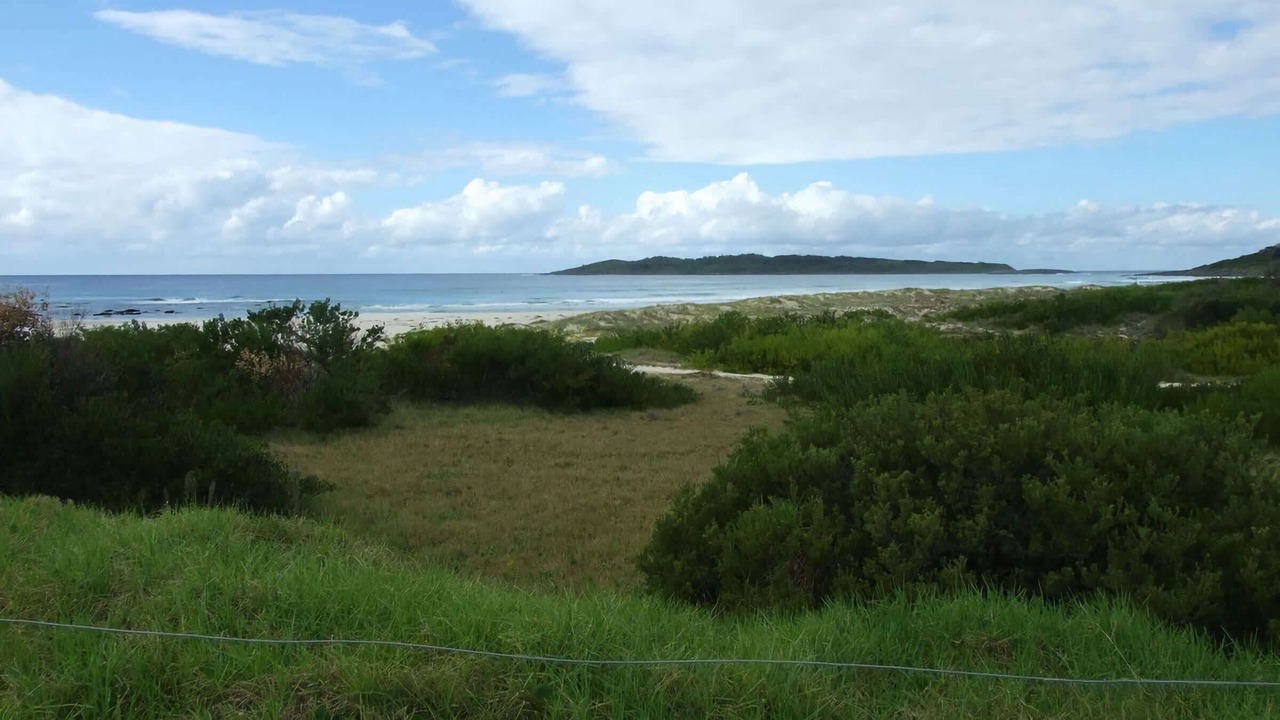 Photo of Others in Bawley Point