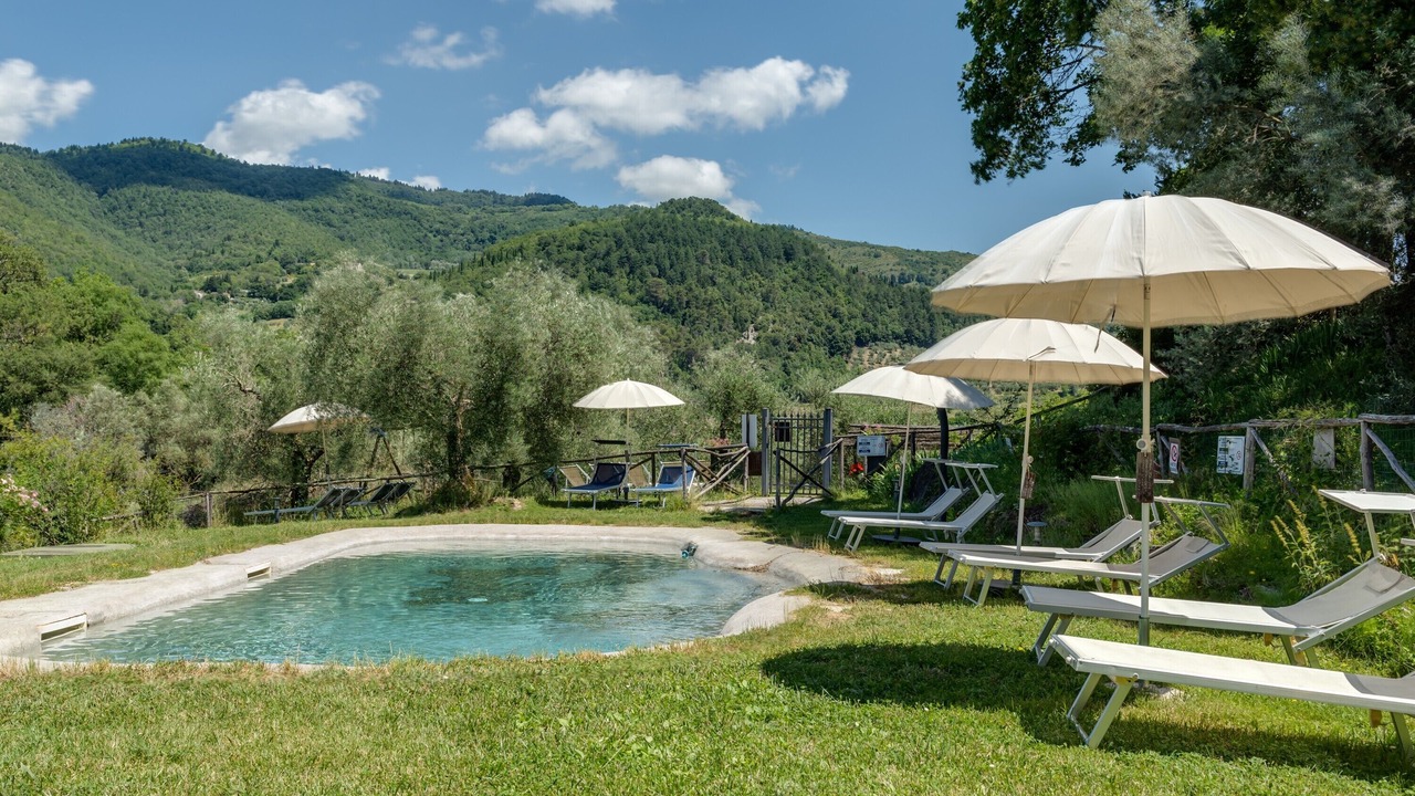 Photo of Outdoor in Pontassieve