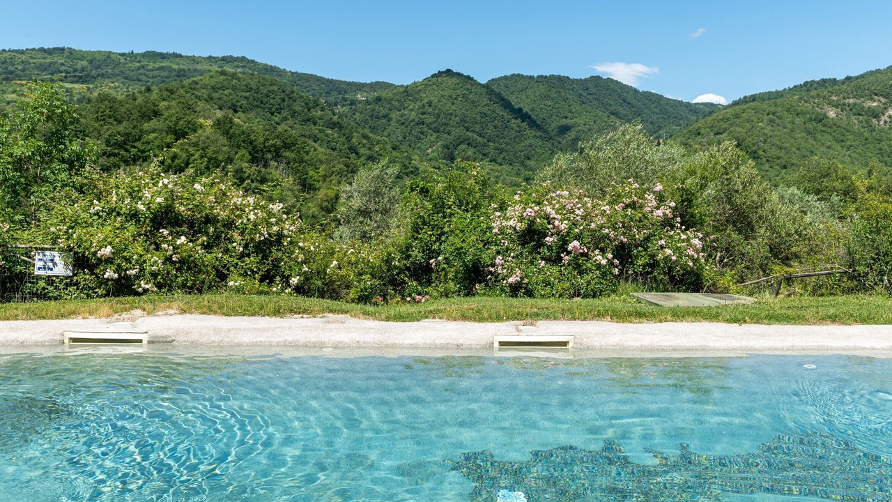 Photo of Outdoor in Pontassieve