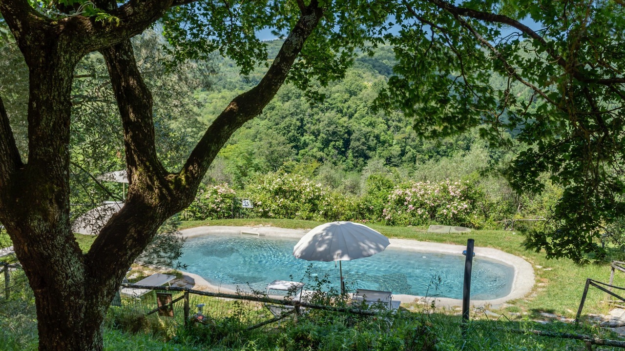 Photo of Outdoor in Pontassieve