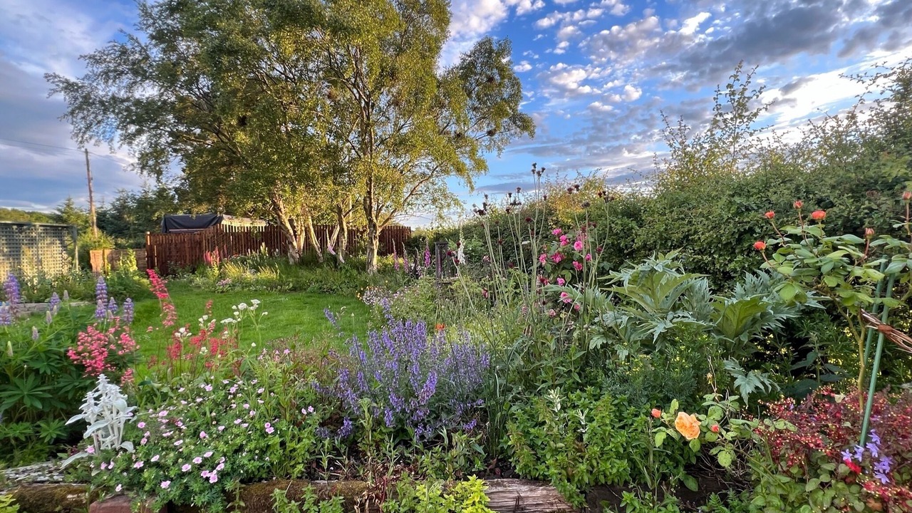 Photo of Outdoor in Roslin