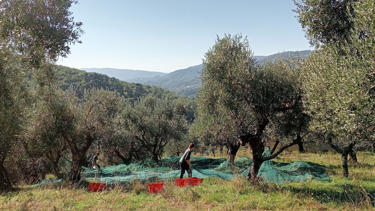 Photo of Others in Croce a Uzzo