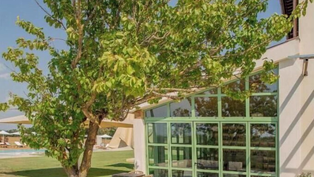 Photo of Outdoor in San Miniato Basso