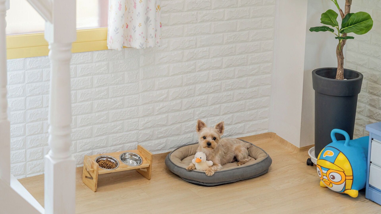 Photo of Bedroom in Deokhyeon